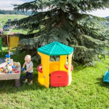 Grapa 2016-0477-2