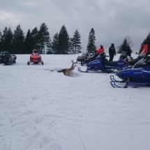 56970924_720184771743401_5248919136335036416_n 56970924_720184771743401_5248919136335036416_n