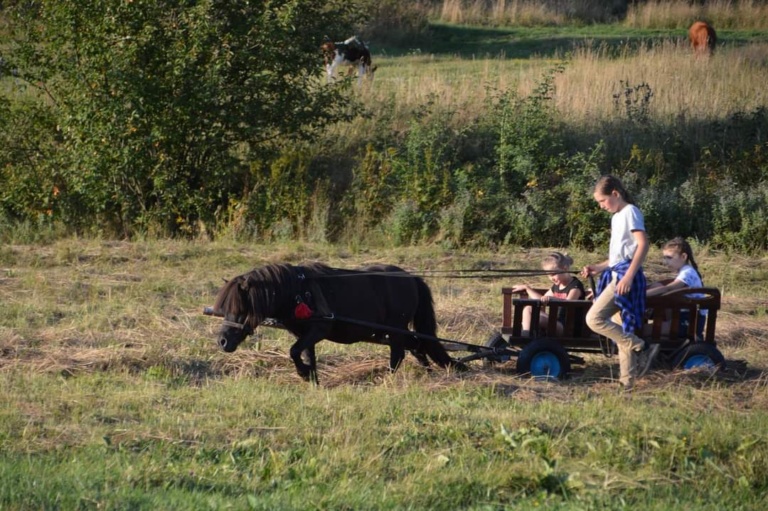 Wakacje W górach Agroturystyka